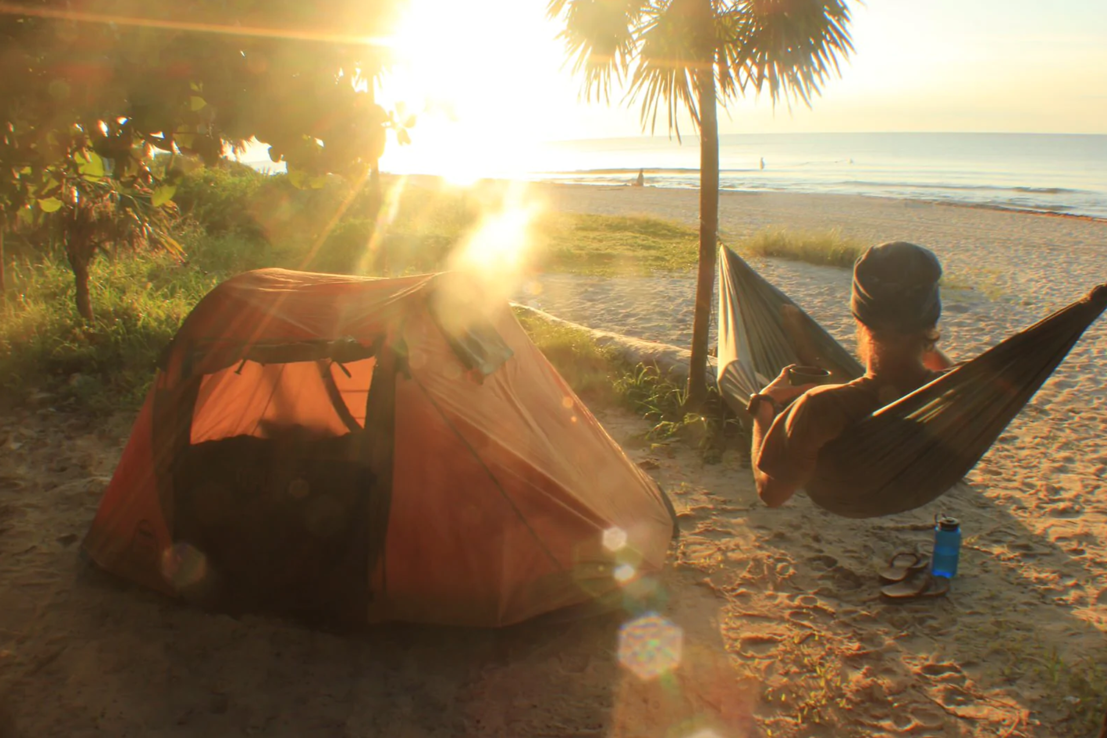 Coalatree Hammock 